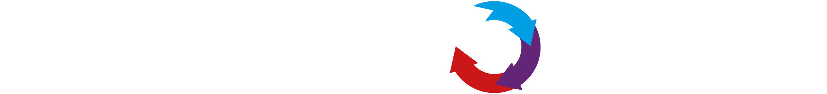 Lifeworks Primary Logo White